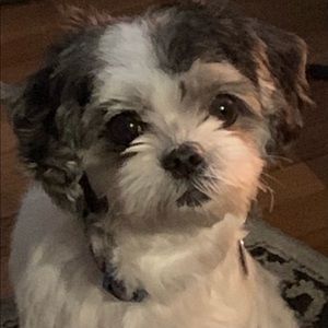 Meet your Posher, Patricia